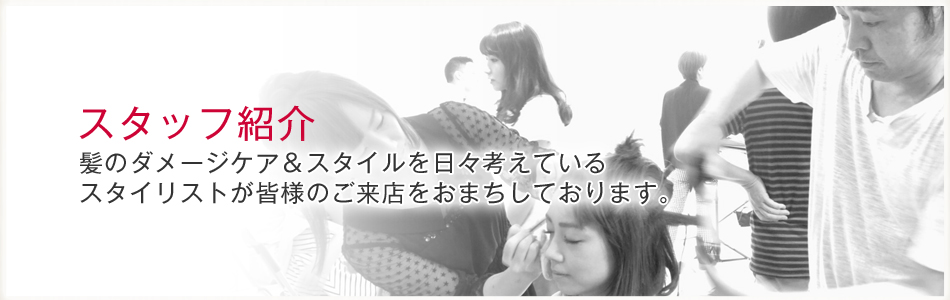 �X�^�b�t�Љ�